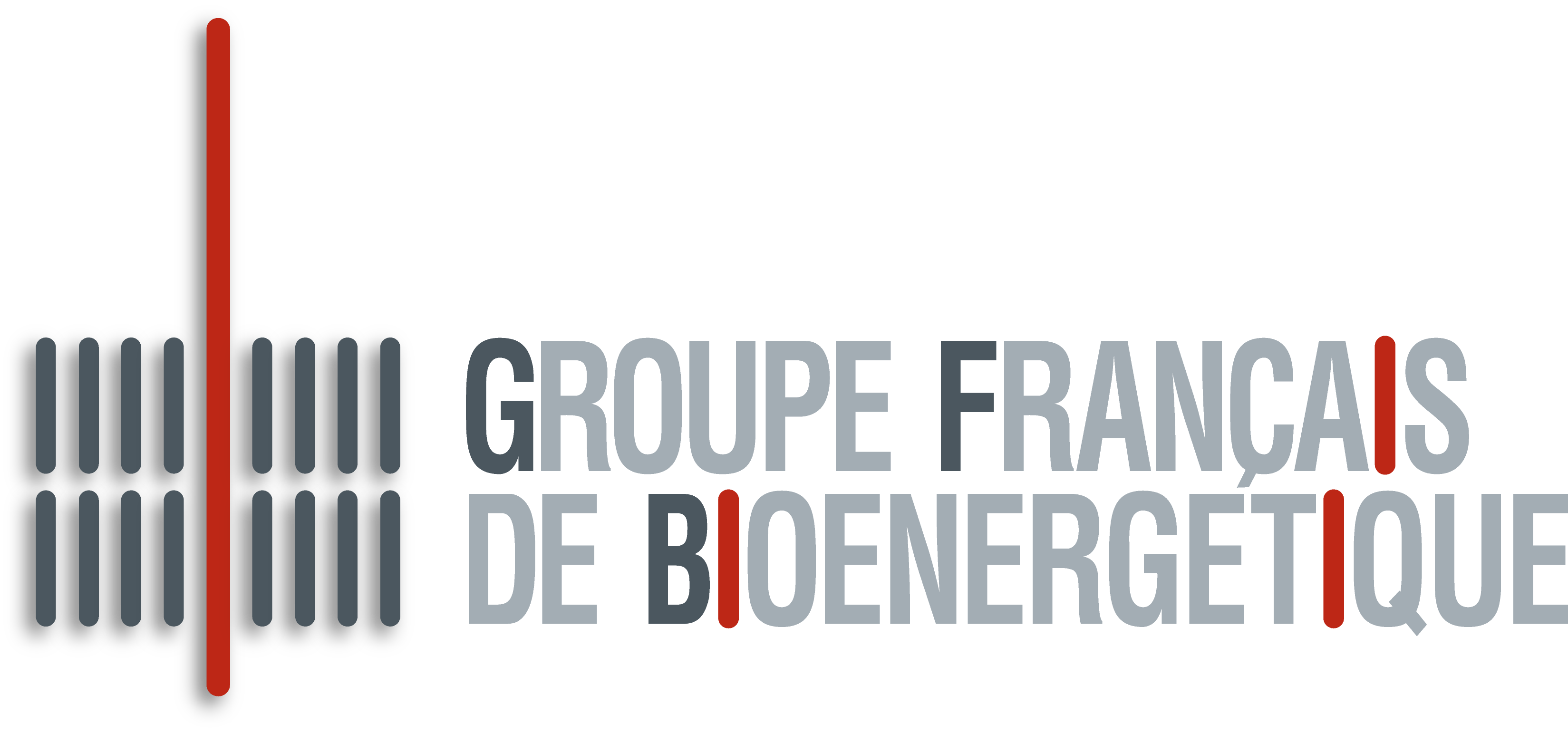 GFBioenegetique