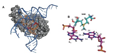 fig2