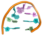 RNAMADlogo transparent - copie