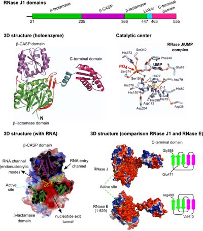 figure2