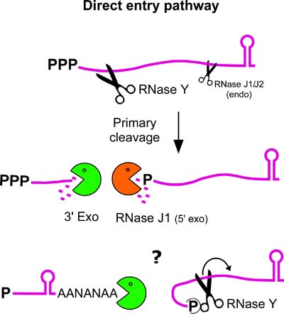figure3