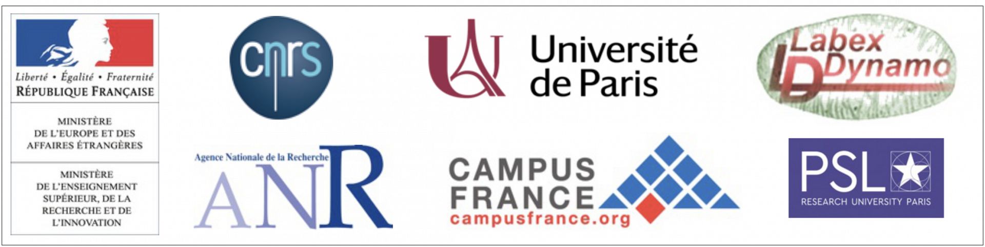 Logos site WEB