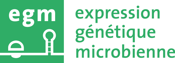logo-EGM-web-full-transparent