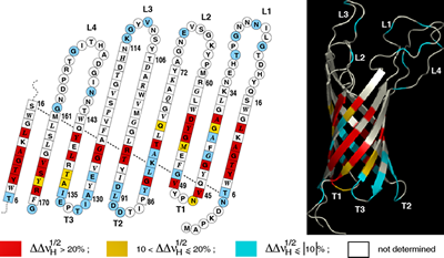 Figure10: image 1 0f 3 thumb