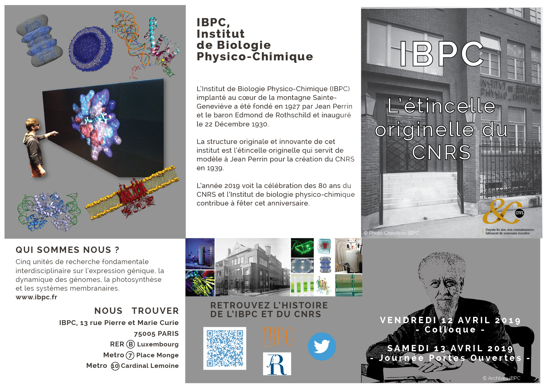 Programme à l'IBPC