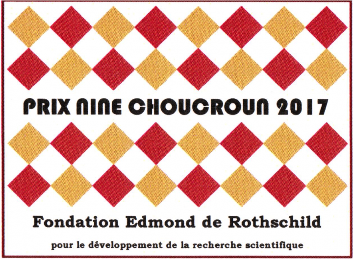 Prix Nine Choucroun 2017