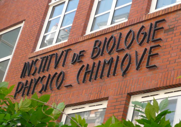 L'IBPC fait peau neuve