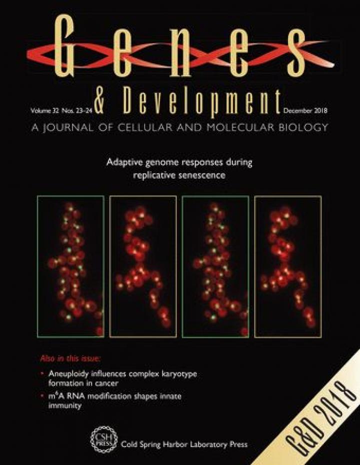 Publication UMR8226