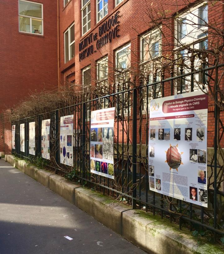 Exposition 80 ans du CNRS : l'IBPC de 1930 à nos jours