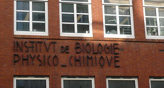Institut de biologie physico-chimique